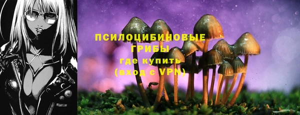 2c-b Вяземский