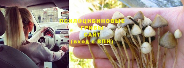 твердый Вязники