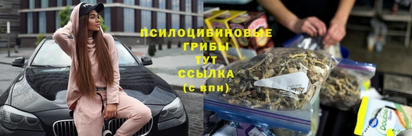 2c-b Вяземский